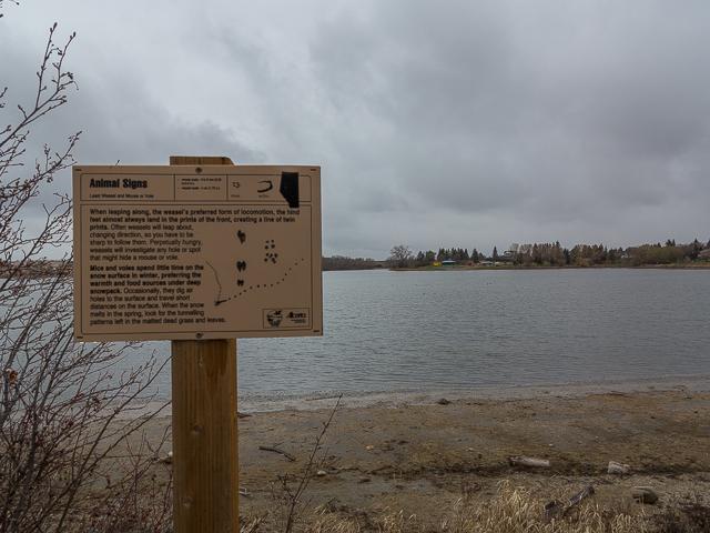 Alix Lake Nature Trail Signs