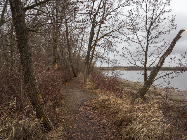 Alix Alberta Lake Trail
