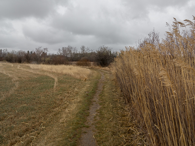 Alix Lake Trail Hike