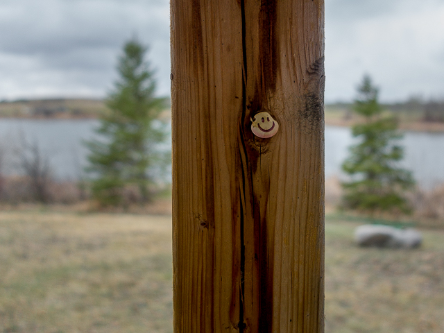 Alix Alberta Lake Path