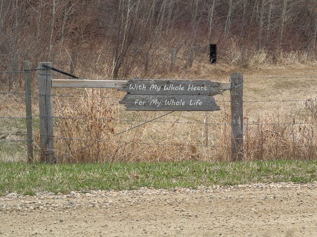 Alix Lake Trail Alix
