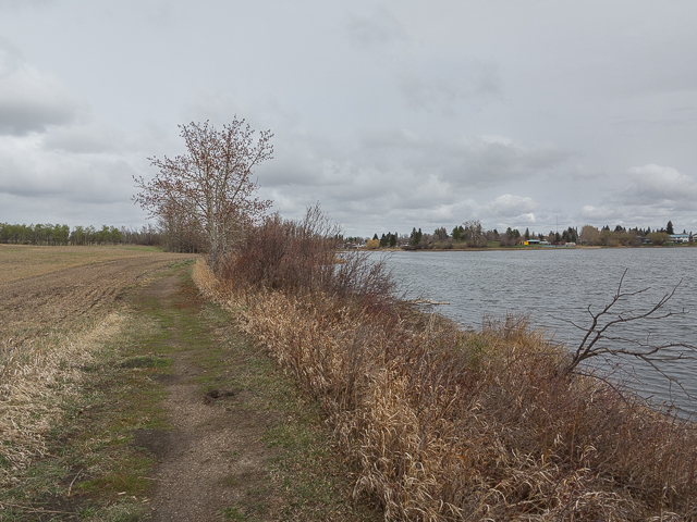Hiking Around Alix Lake 