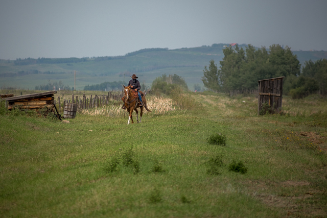 Stettler Tour Train Robber