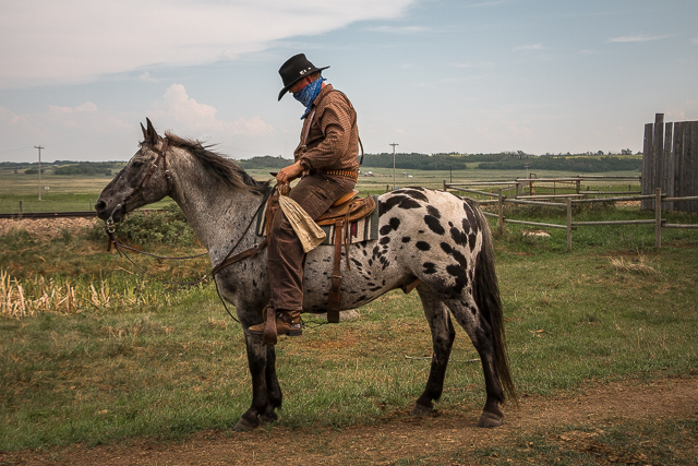 Outlaw Big Valley Alberta