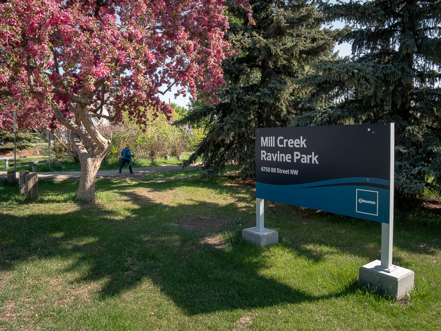 Mill Creek Ravine Park