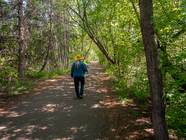 Mill Creek Ravine Trail
