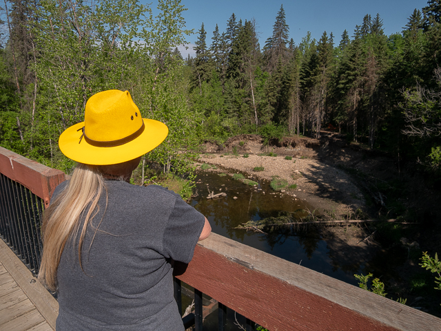 Mill Creek Trestle Edmonton