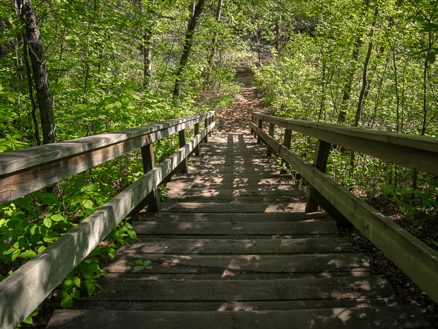 Mill Creek Ravine Hiking