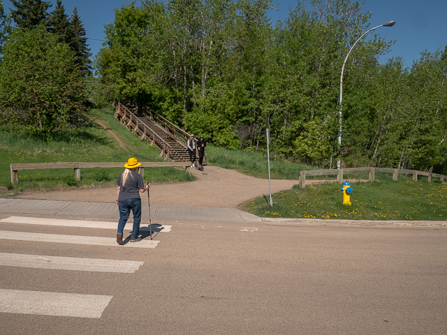 Mill Creek Ravine Hike
