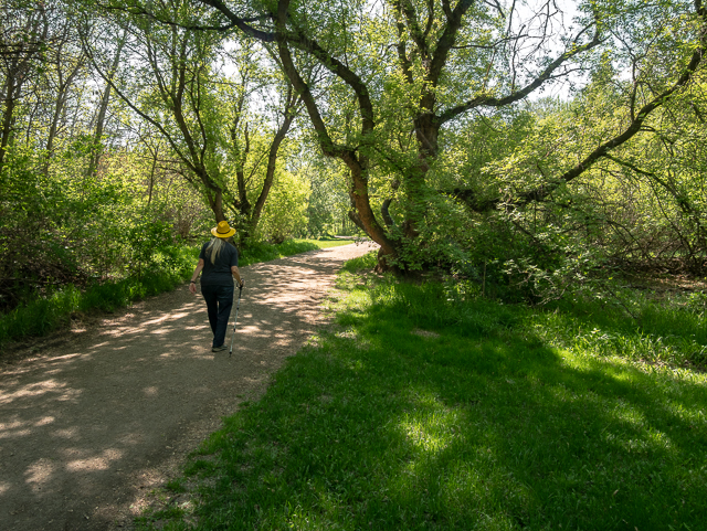 Mill Creek Ravine Hiking Trail