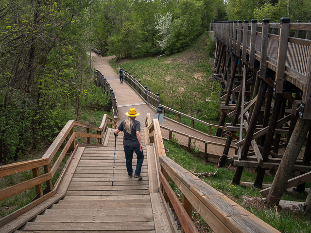Mill Creek Ravine Train Trestle
