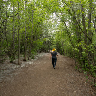 Trail Mill Creek Ravine