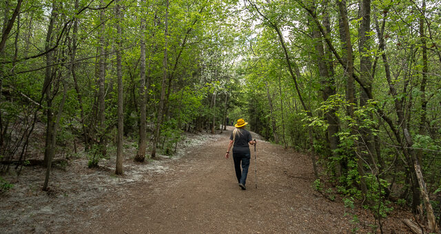 Trail Mill Creek Ravine