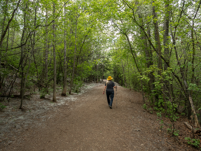 Trail Mill Creek Ravine