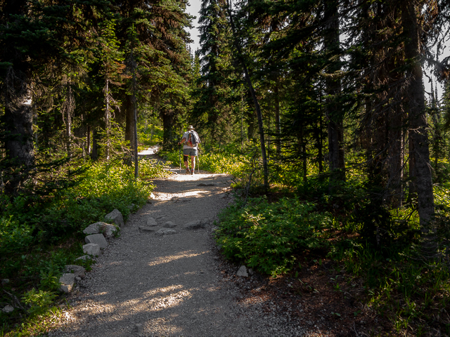 Mt Revelstoke Trails