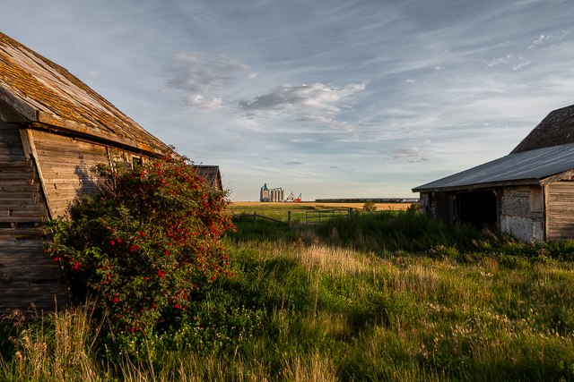 CPR Demonstration Farm