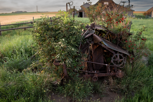 CPR Demonstration Farm Vulcan Alberta