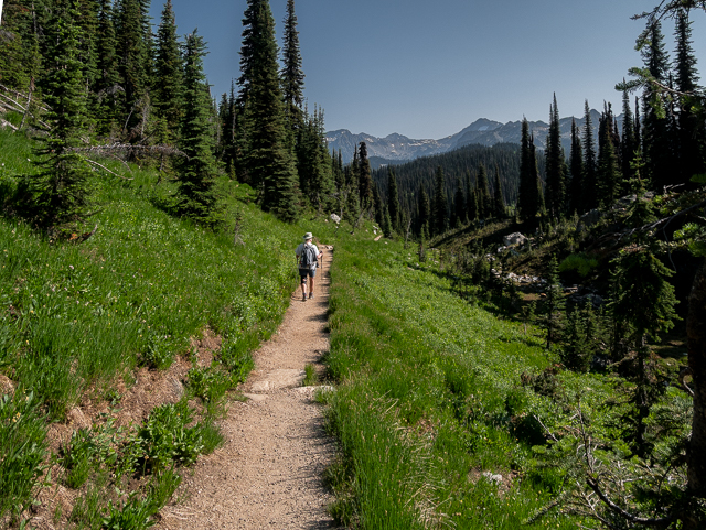 Mt Revelstoke Hike