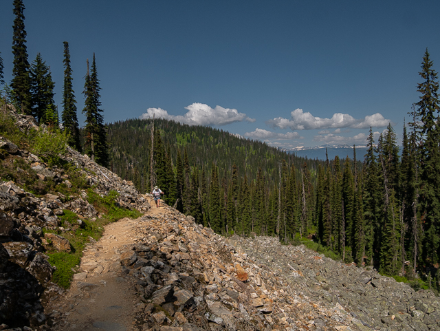 Mount Revelstoke Hike