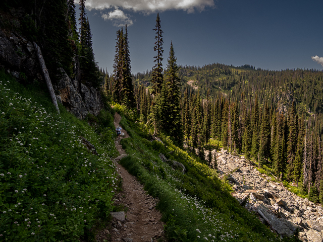 Mount Revelstoke Hiking Trail