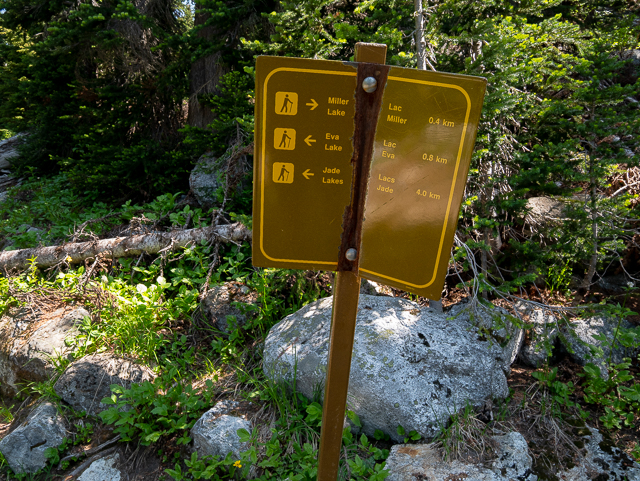 Eva Lake Miller Lake