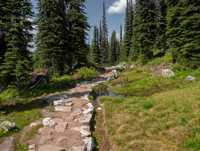 Mt Revelstoke Miller Lake Trail