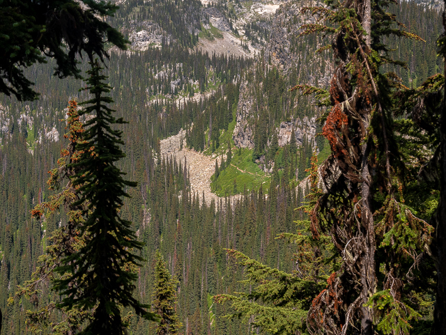 Eva and Miller Lakes Hiking Trail