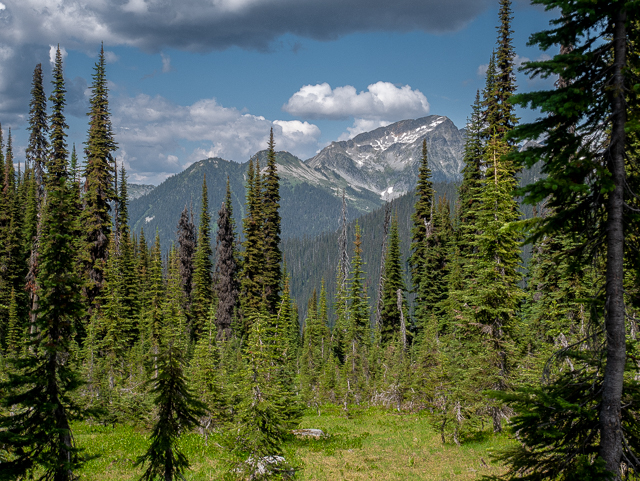 Eva & MIller Lakes Hiking Trail