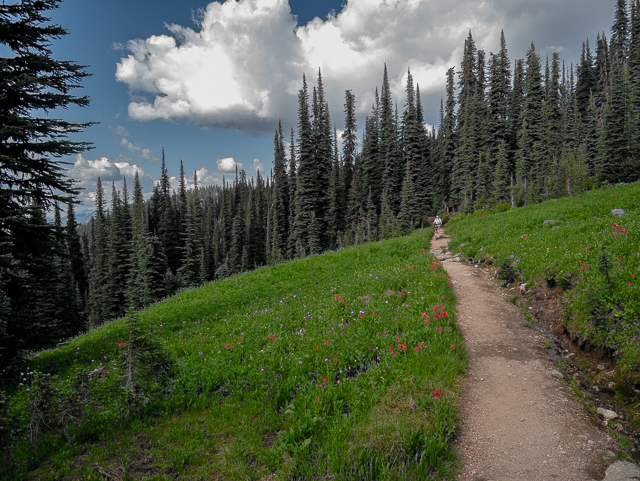 Mount Revelstoke National Park