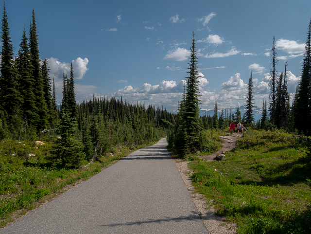Mt Revelstoke National Park
