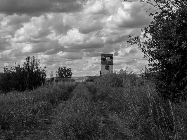 Grain Elevator Sharples Alberta