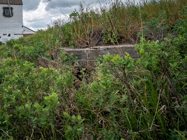 Alberta Pool Elevator Sharples