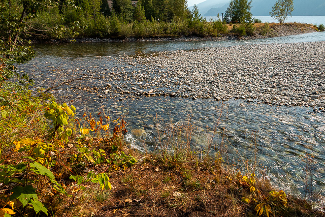 Rosebery BC Wilson Creek