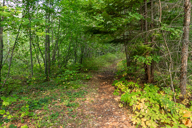 Nakusp and Slocan Rail Trail