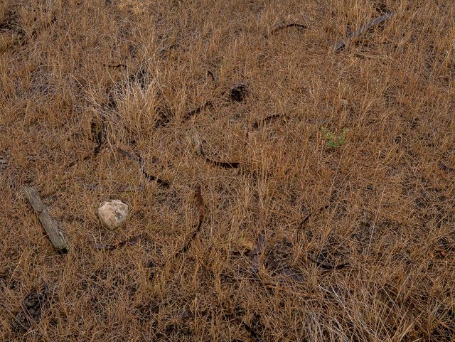 Cecil Alberta Ghost town