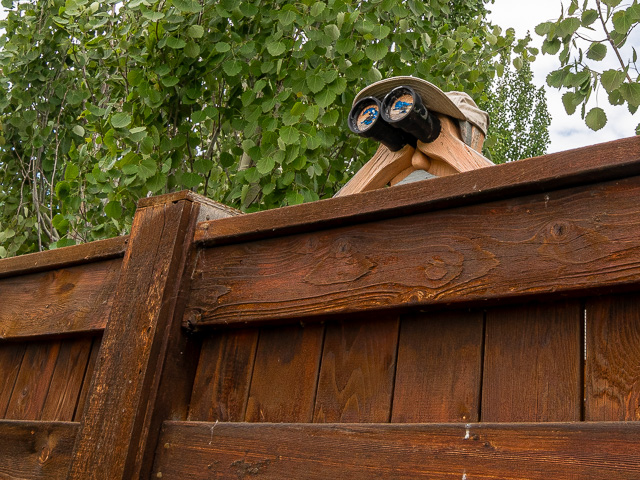 Okotoks Pathways Sights