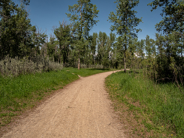 Sheep River Cove Trails