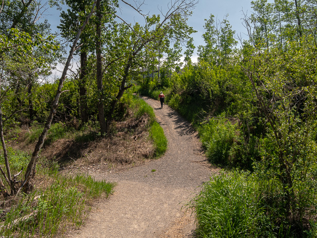 Okotoks Sheep River Cove Trails