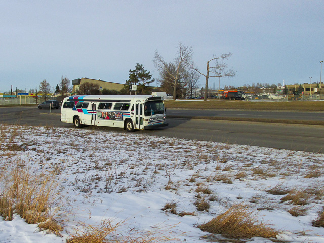 New Look Bus Calgary 2013