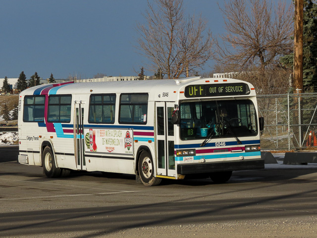 Calgary Transit MCI Classic