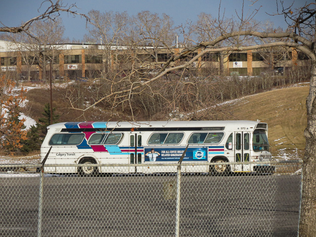 New Look Bus Calgary Transit