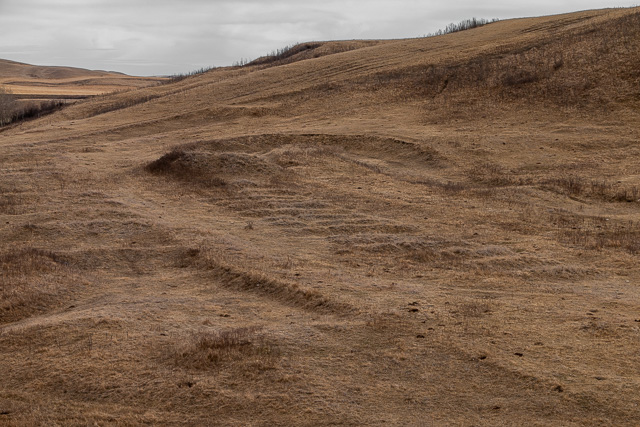 Carbon Valley MX Track